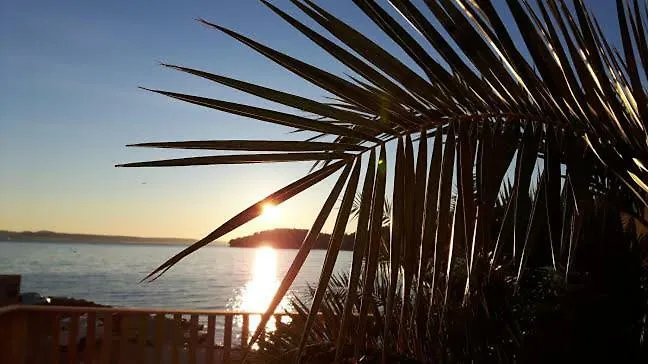 Apartmán Apartmani Kali